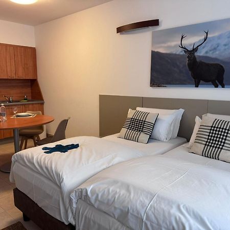Base Camp Alpine Apartments Breuil-Cervinia Rum bild